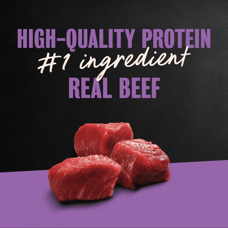 Filet Mignon & Porterhouse Steak Flavors 12ct Multipack image 1