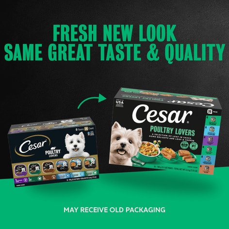 Poultry Lovers 36ct Multipack Dog Food | CESAR®