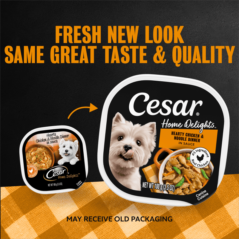 Home Delights™ Hearty Chicken & Noodle Dinner in Sauce