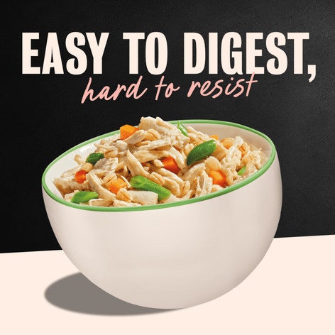 Wholesome Bowls™ Chicken, Carrots, Barley & Green Beans image 1