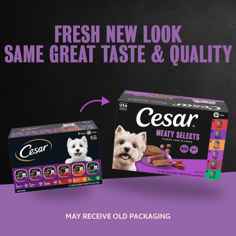 Poultry, Steak & Beef Varieties 36ct Multipack | CESAR®