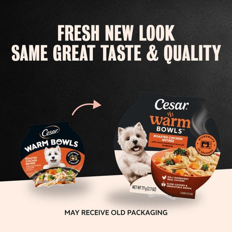 Warm Bowls Wet Dog Food, Roasted Chicken with Vegetables image 1