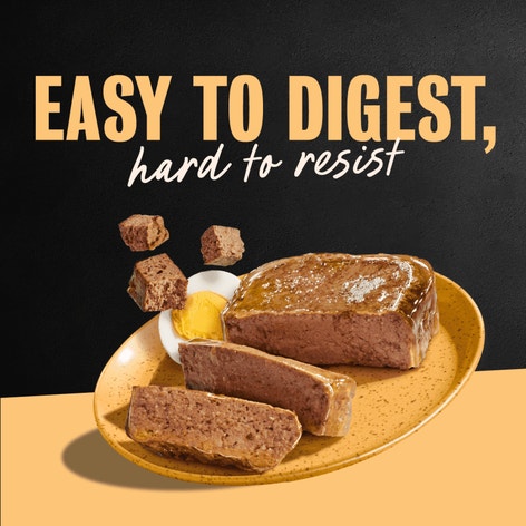 Breakfast & Dinner 12ct Multipack image 1