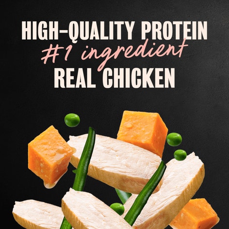 Wholesome Bowls Wet Dog Food, Chicken Variety Pack image 1