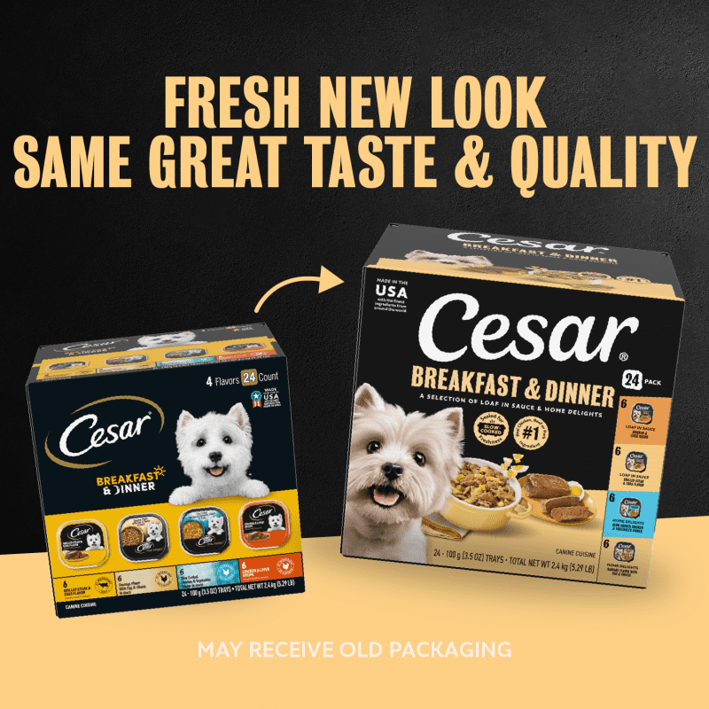 Breakfast & Dinner 24ct Multipack Dog Food | CESAR®
