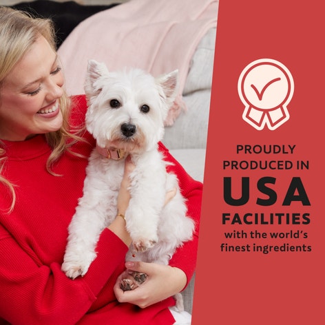 Cesar Softies Chewy Soft Dog Treats Medley Trio image 1