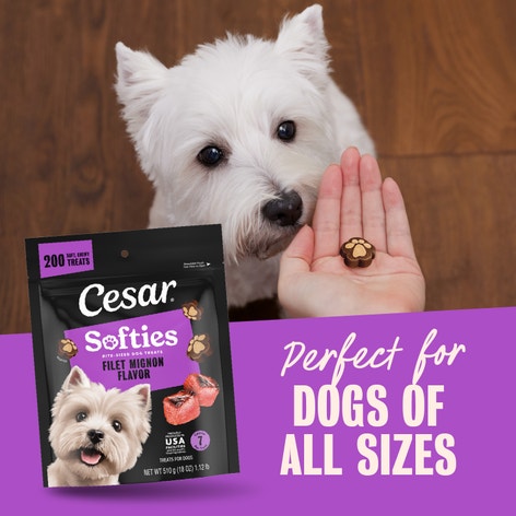 Cesar Softies Chewy Soft Dog Treats Filet Mignon image 1