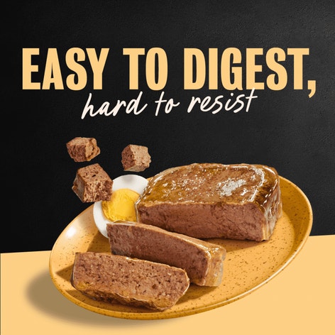 Breakfast & Dinner 24ct Multipack image 1