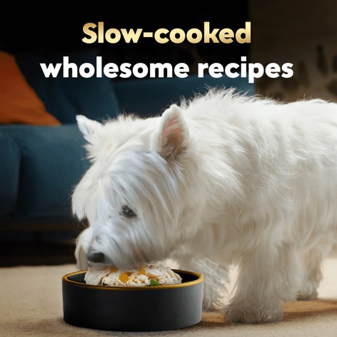 Wholesome Bowls™ Chicken and Chicken, Sweet Potatoes & Green Beans Variety Pack image 1