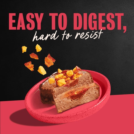 Bacon Feast 12ct Multipack image 1