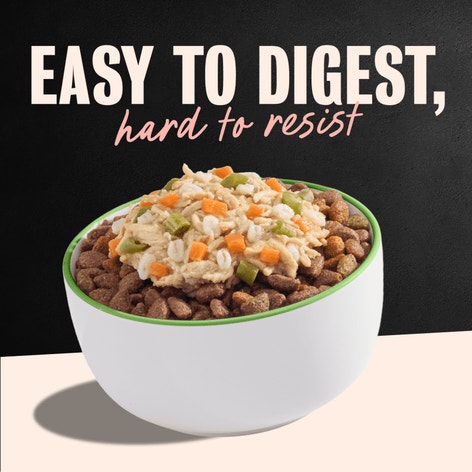 Cesar Wholesome Meals Chicken, Carrots, Barley & Green Beans image 1