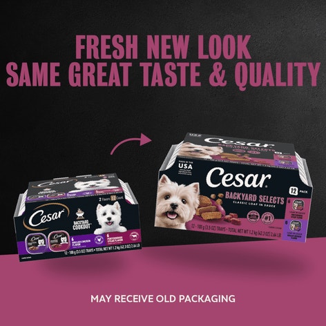 BACKYARD COOKOUT™ 12ct Multipack | CESAR®