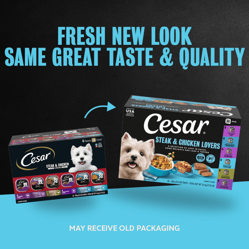 Steak & Chicken Lover's Wet Dog Food Multipack | CESAR®