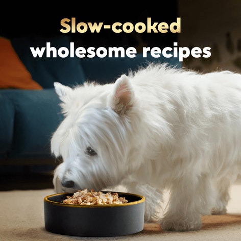 Wholesome Bowls™ Beef, Chicken, Carrots, Barley & Green Beans Recipe and Chicken, Apple & Sweet Potato Variety Pack image 1