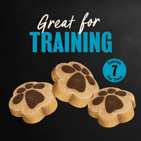 Cesar Softies Grilled Chicken Flavor Chewy Soft Dog Treats image 1