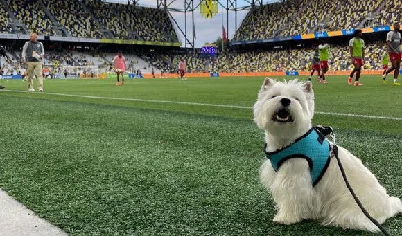 Pupside Seats Presented by CESAR