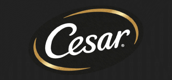 Cesar Transition Logo GIF