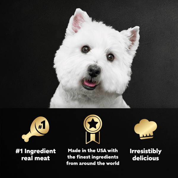 Cesar dog food 2025 big bag