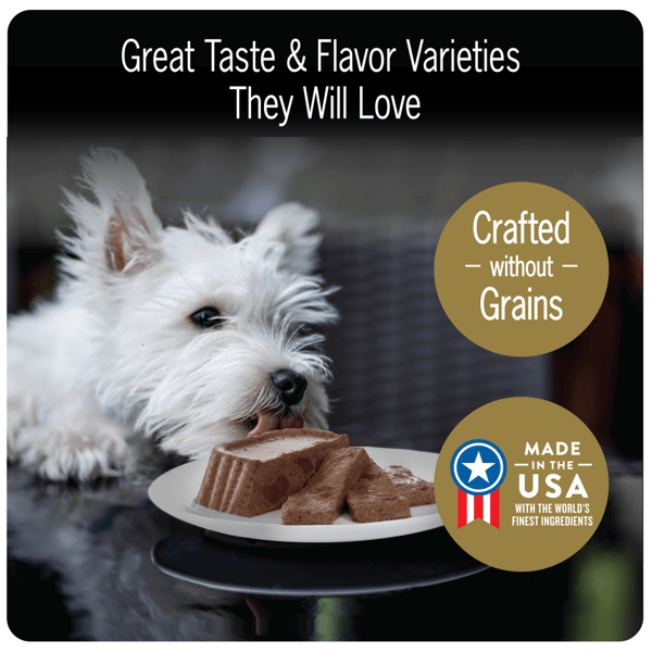 Cesar dog food 40 count online
