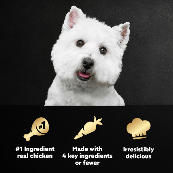 Cesar dog food commercial top