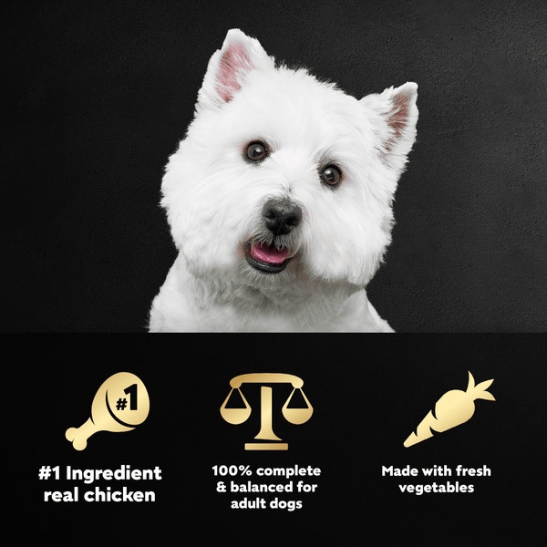 Cesar Wholesome Meals Beef, Chicken, Carrots, Barley & Green Beans Recipe image 4