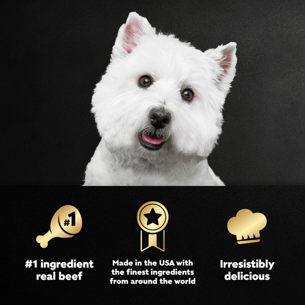 Sharper image duke shop the puppy reviews