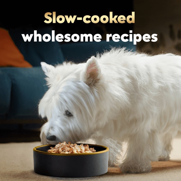 Wholesome Bowls™ Beef, Chicken, Carrots, Barley & Green Beans image 4