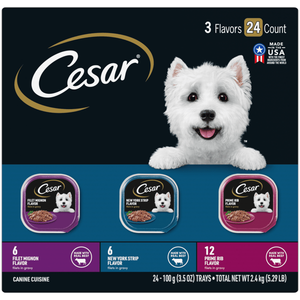 Cesar dog food hot sale 12 pack