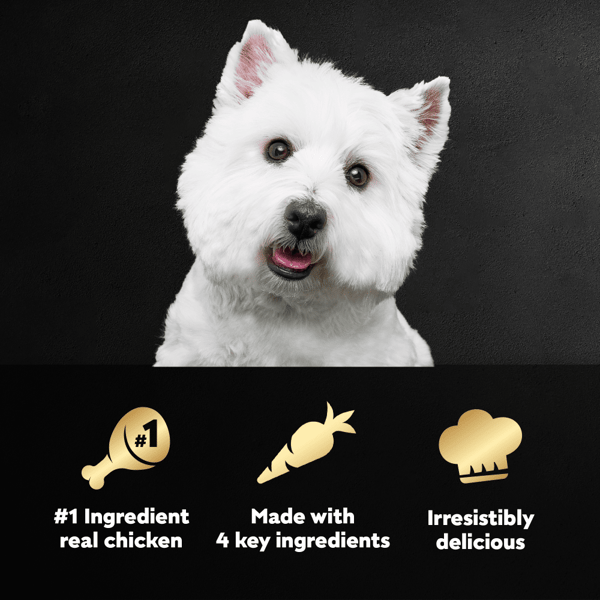 Type of dog in cesar best sale commercial