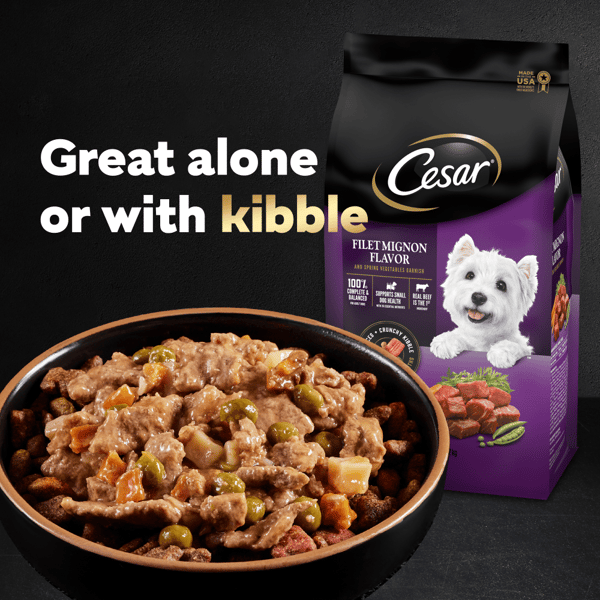 Cesar home dog food discount