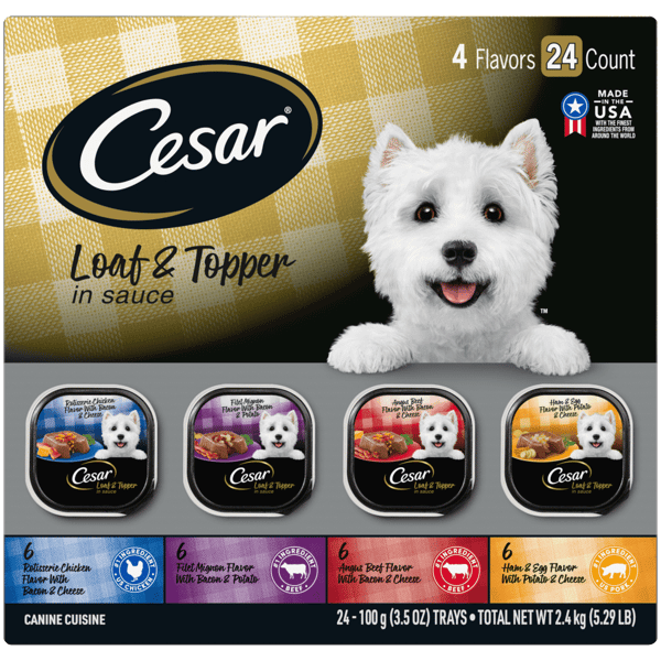 Cesar savory dog food cheap