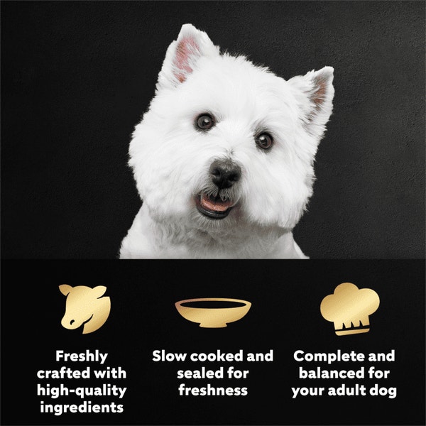 Cesar Filets in Gravy Filet Mignon Flavor Wet Dog Food, 1.76-oz Mini-Pouch image 3