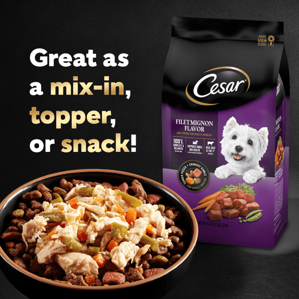 Cesar dog food sam's store club