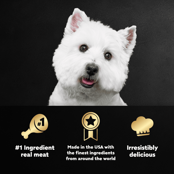 What kind of dog is the cesar dog food dog shop