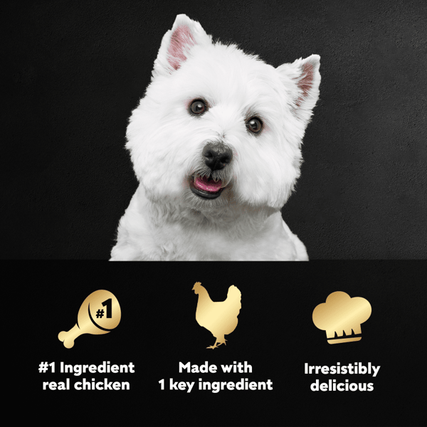Best dry dog hotsell food for westies
