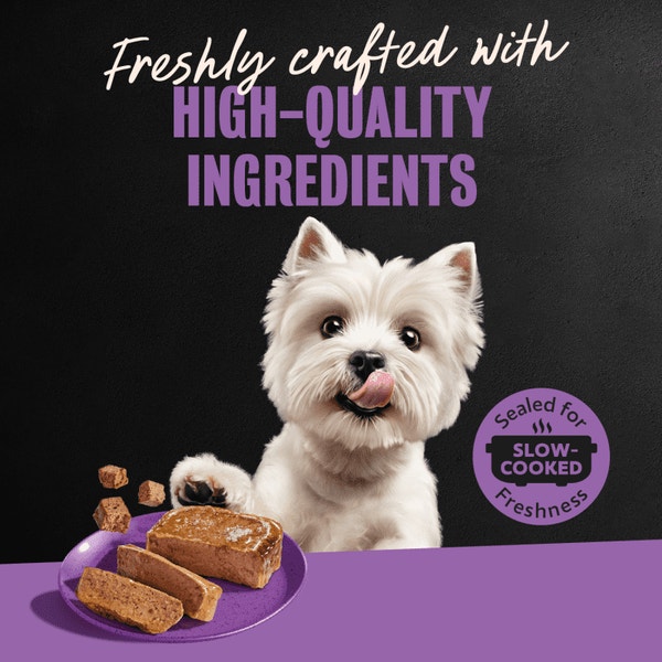 Poultry, Steak & Beef Varieties 36ct Multipack image 5