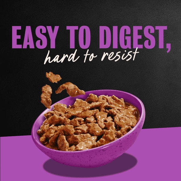 Filets in Gravy Filet Mignon image 4