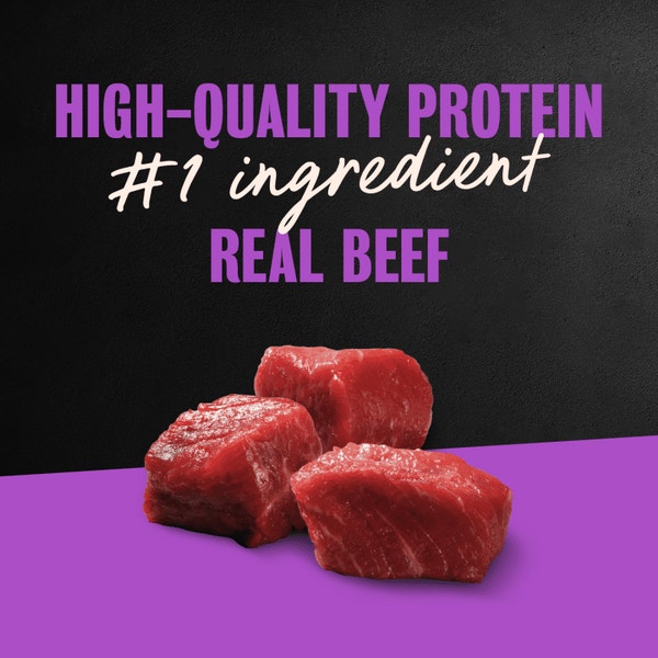 Dry-Aged Ribeye and Filet Mignon Flavors 12ct Multipack image 2