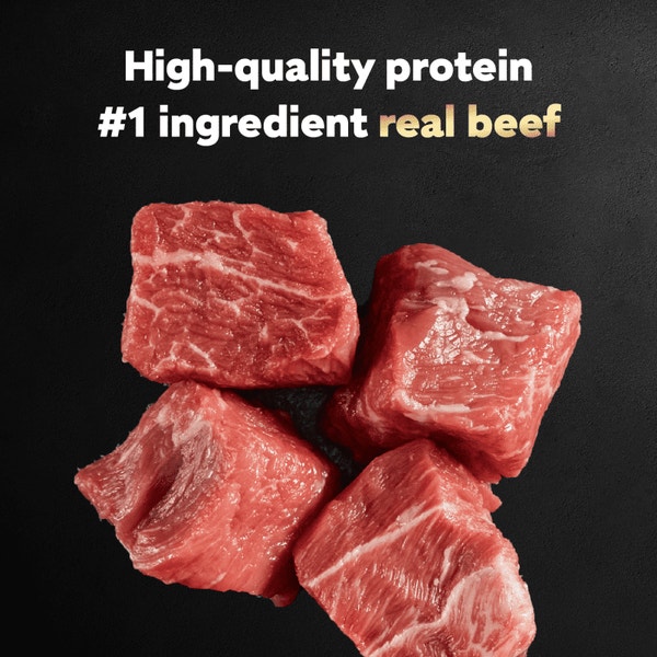 Dry-Aged Ribeye and Filet Mignon Flavors 12ct Multipack image 2