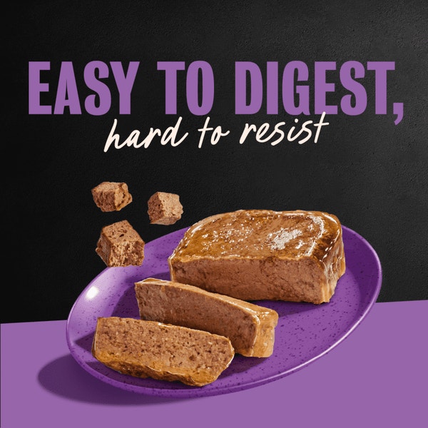 Filet Mignon Flavor 24ct Multipack image 4