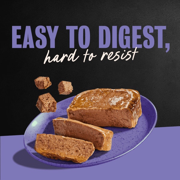 Classic Loaf in Sauce Dry-Aged Ribeye image 4