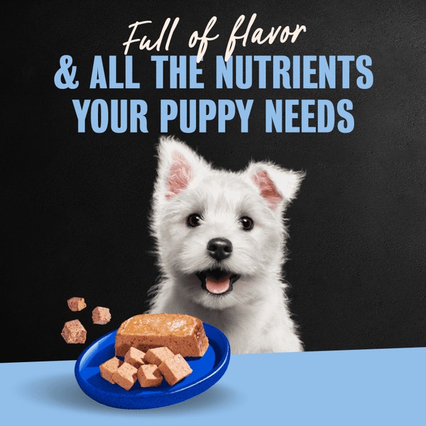 Classic Loaf in Sauce Puppy - Chicken & Beef image 5