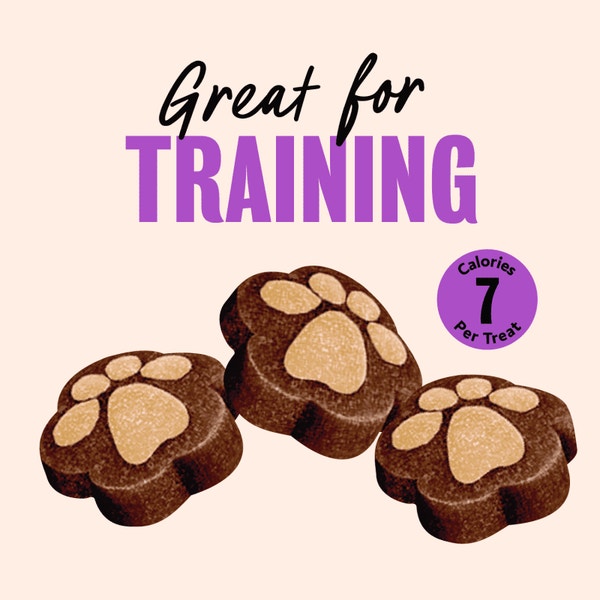 Cesar Softies Chewy Soft Dog Treats Filet Mignon image 3