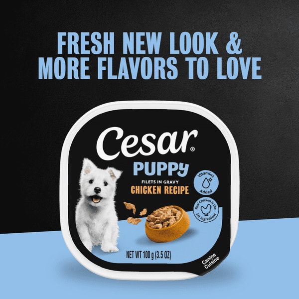 Cesar Puppy Filets in Gravy Chicken Recipe Wet Dog Food, 3.5 oz Easy Peel Tray image 5