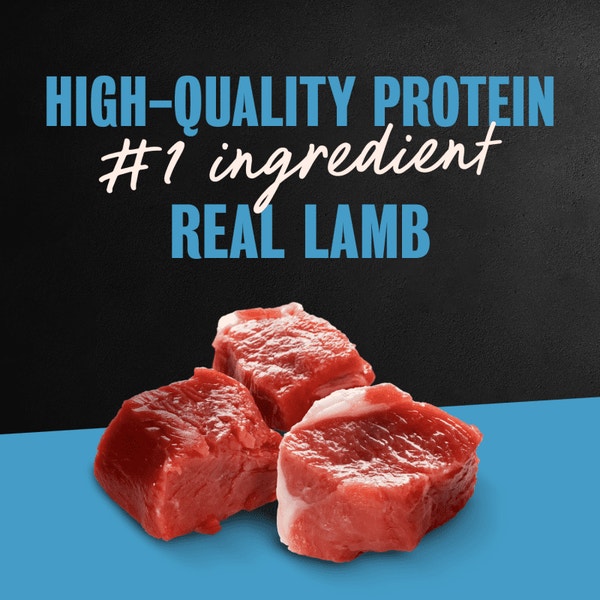 Classic Loaf in Sauce Lamb image 2