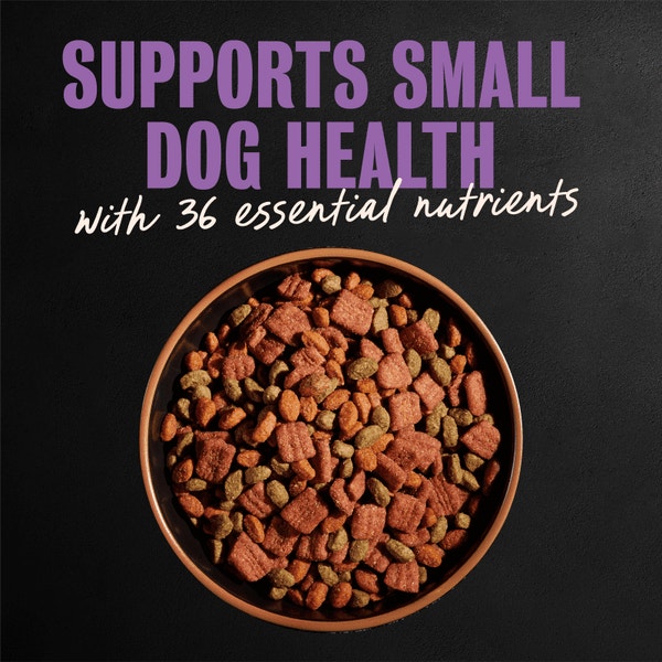 Filet Mignon Flavor & Spring Vegetables image 4