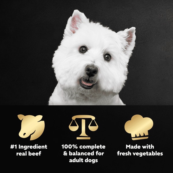 Cesar Wholesome Meals Adult Wet Dog Food Beef, Chicken and Vegetable Recipe image 3