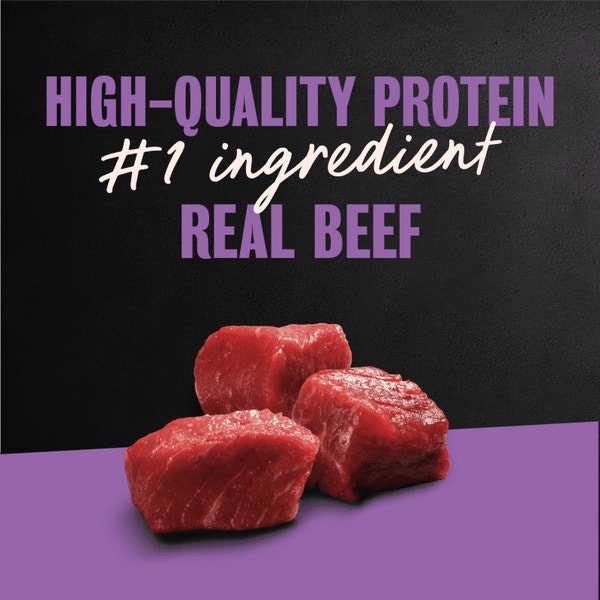 Filet Mignon Flavor 24ct Multipack image 2