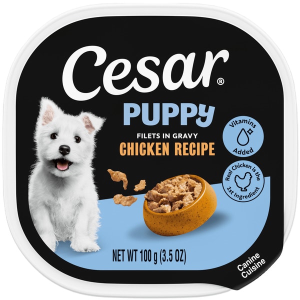 Cesar Puppy Filets in Gravy Chicken Recipe Wet Dog Food, 3.5 oz Easy Peel Tray image 1