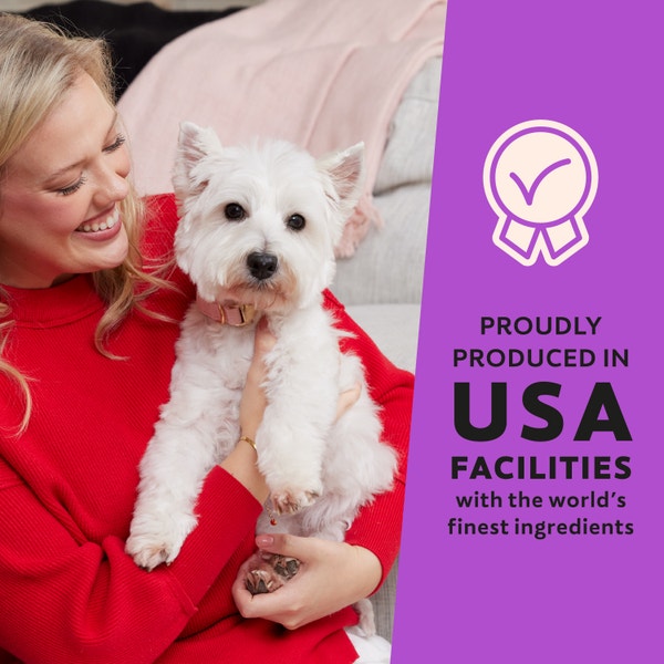 Cesar Softies Chewy Soft Dog Treats Filet Mignon image 4